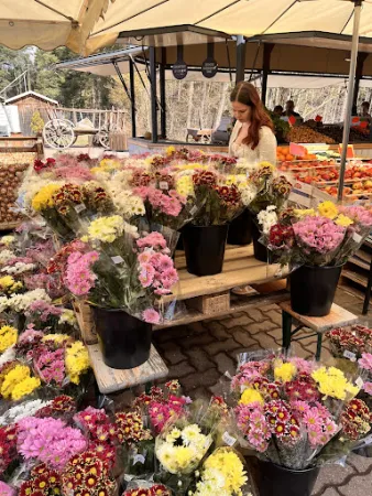 Bild von Spargel- und Erlebnishof Klaistow