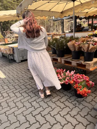 Bild von Spargel- und Erlebnishof Klaistow