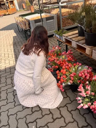 Bild von Spargel- und Erlebnishof Klaistow