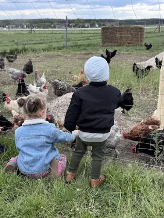 Bild von Spargel- und Erlebnishof Klaistow