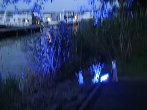 Bild von Restaurant Harbour