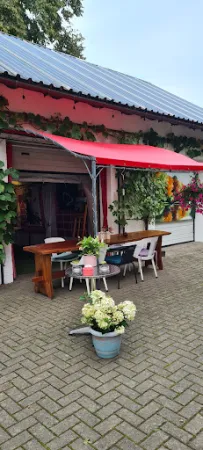 Bild von Snack Bar Chiringuito