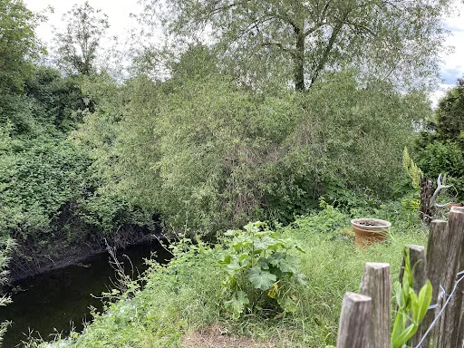 Bild von Gaststube Alte Zunft