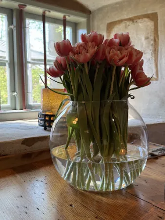 Bild von Restaurant „Alter Amtsturm“