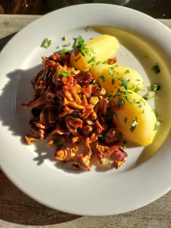 Bild von Jägers Restaurant - Jägerhorn KG