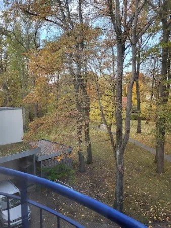 Bild von Restaurant im VITALHOTEL ambiente