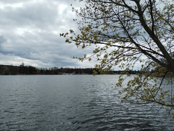 Bild von undefined