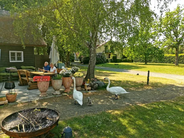 Bild von undefined