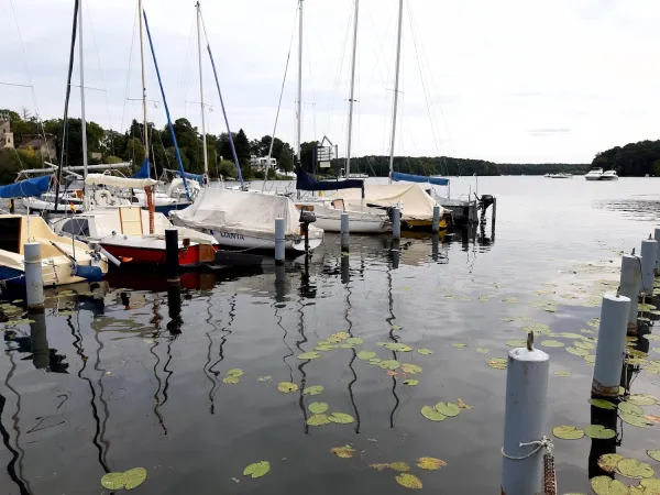 Bild von undefined