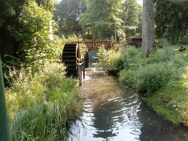 Bild von undefined