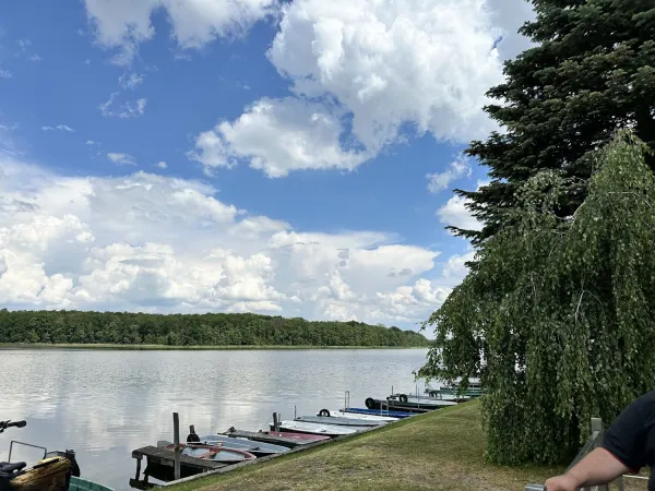 Bild von undefined