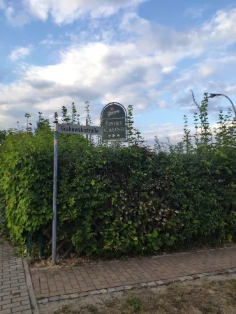 Bild von undefined