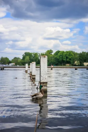 Bild von undefined