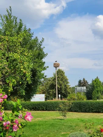 Bild von undefined