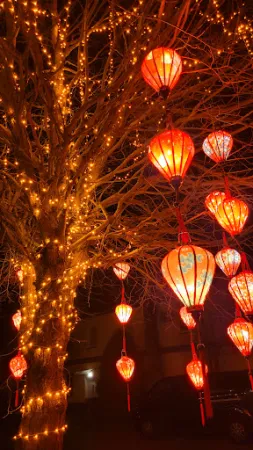 Bild von Nam Chi Restaurant