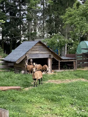 Bild von Gasthof Simke