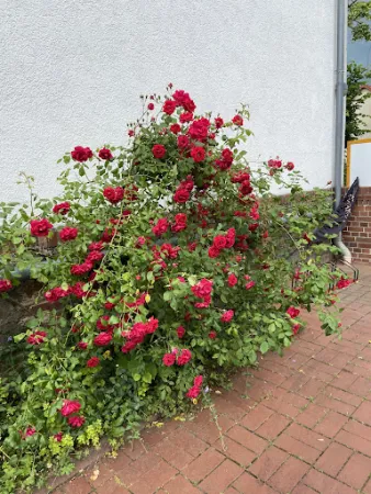 Bild von Gasthof Simke