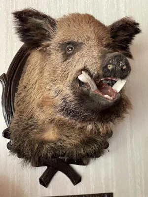 Gaststätte Libelle