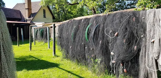 Bild von Köllnitzer Hofküche