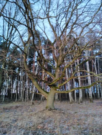 Bild von undefined