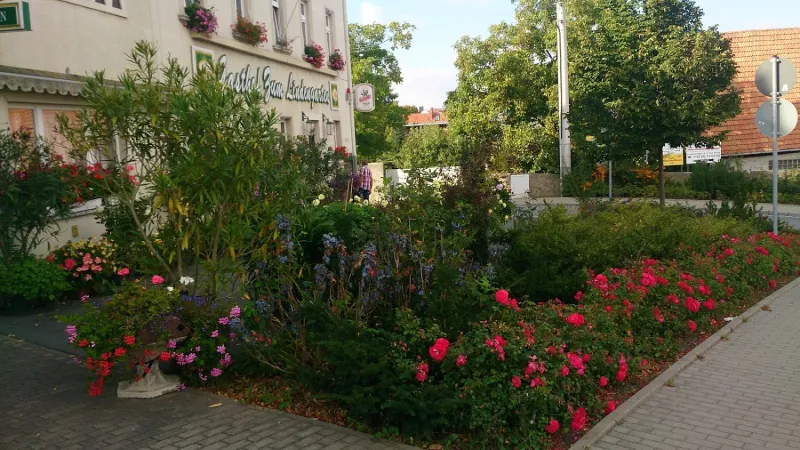Bild von undefined
