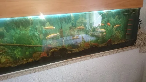 Bild von Fischgaststätte Zur Quelle
