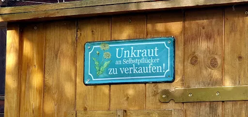 Bild von Restaurant Zum Socken