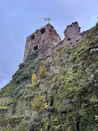 Bild von Burggasthof Hohnstein