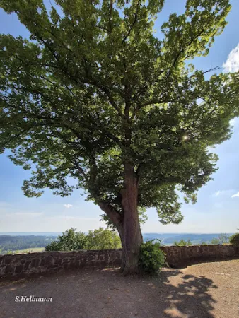 Bild von Burggasthof Hohnstein