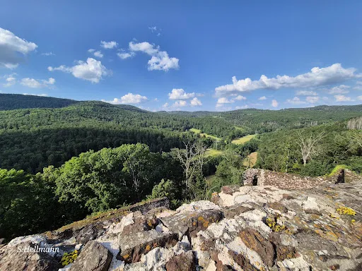 Bild von Burggasthof Hohnstein