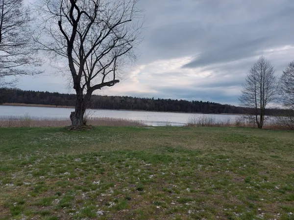 Bild von undefined