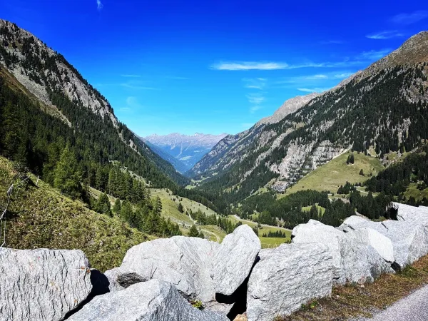 Bild von San Dra