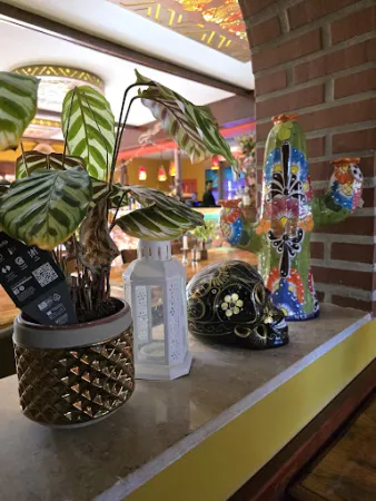 Bild von Restaurant Kaktus