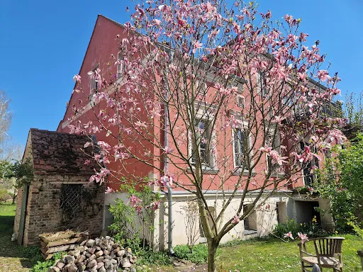 Bild von Schloss Ribbeck