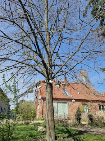 Bild von Schloss Ribbeck