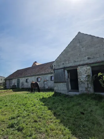 Bild von Schloss Ribbeck