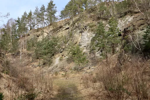 Bild von Rast am Ring
