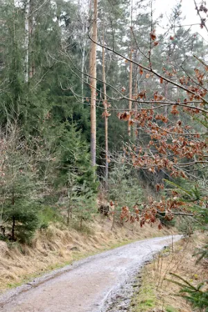 Bild von Rast am Ring