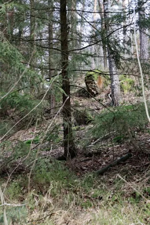 Bild von Rast am Ring