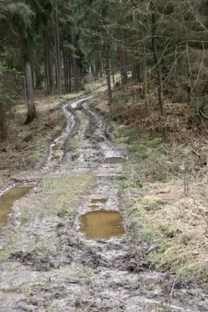 Bild von Rast am Ring