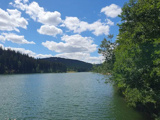 Bild von Waldbaude am Staudamm
