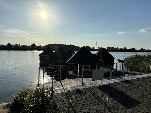 Bild von Strandgut 33