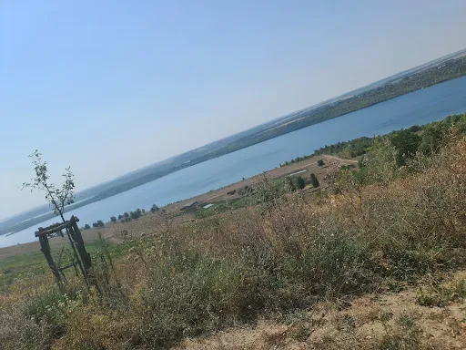 Bild von Weinberg Goldener Steiger - Straußwirtschaft am Geiseltalsee