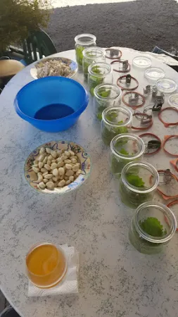 Bild von Café & Bäckerei EckBack Lutz Eckleben