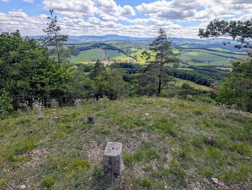Bild von Berggasthaus Großer Hörselberg
