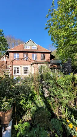 Bild von Bachstelze