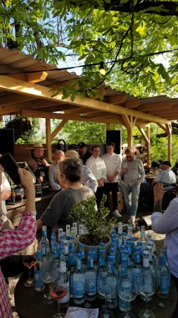 Bild von Bachstelze