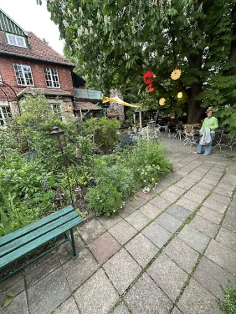 Bild von Bachstelze