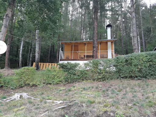 Bild von Waldseebad Königsee