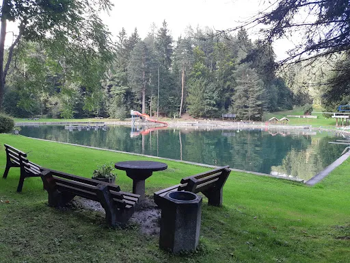 Bild von Waldseebad Königsee